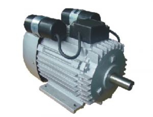 YL系列雙值電容單相異步電動(dòng)機(jī)
